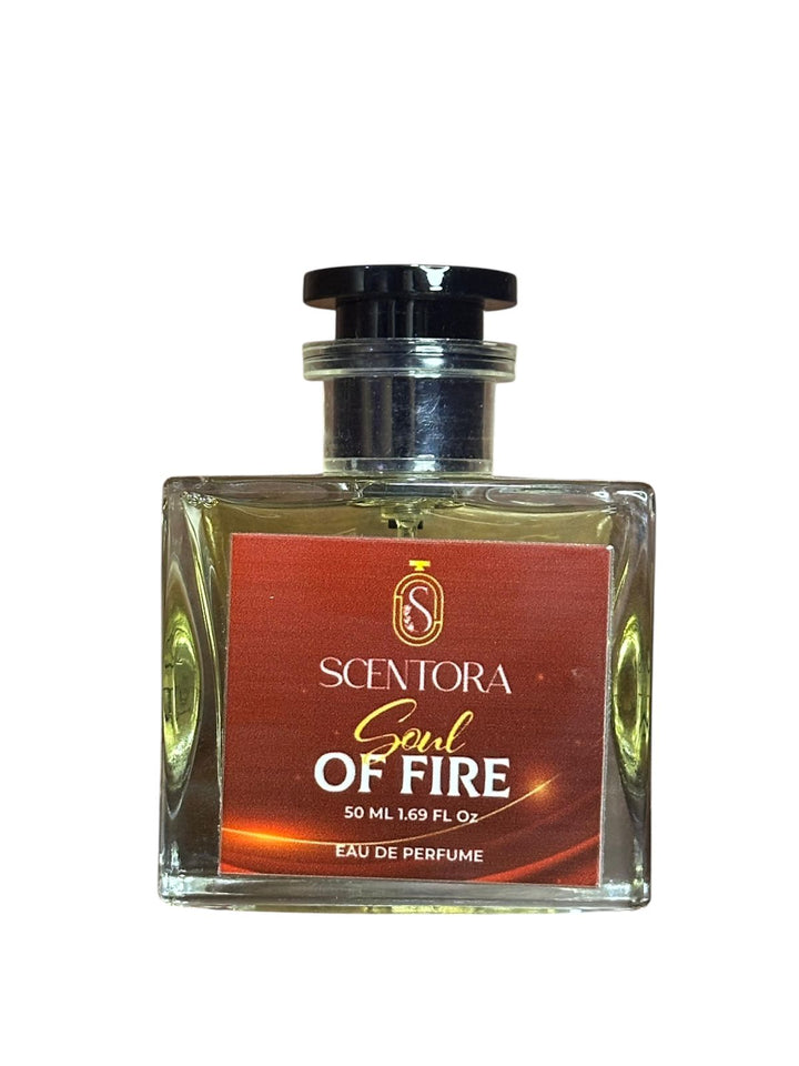 SOUL OF FIRE